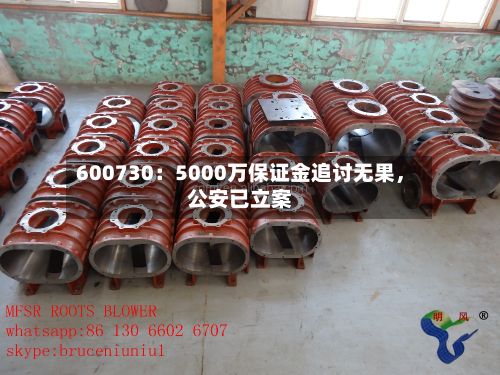 600730：5000万保证金追讨无果，公安已立案-第2张图片
