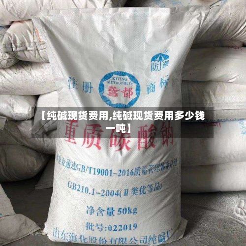 【纯碱现货费用,纯碱现货费用多少钱一吨】