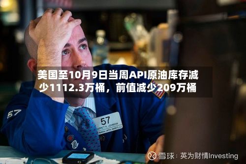 美国至10月9日当周API原油库存减少1112.3万桶，前值减少209万桶-第2张图片