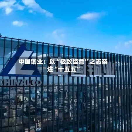 中国铜业：以“极致经营”之志奋进“十五五”-第3张图片