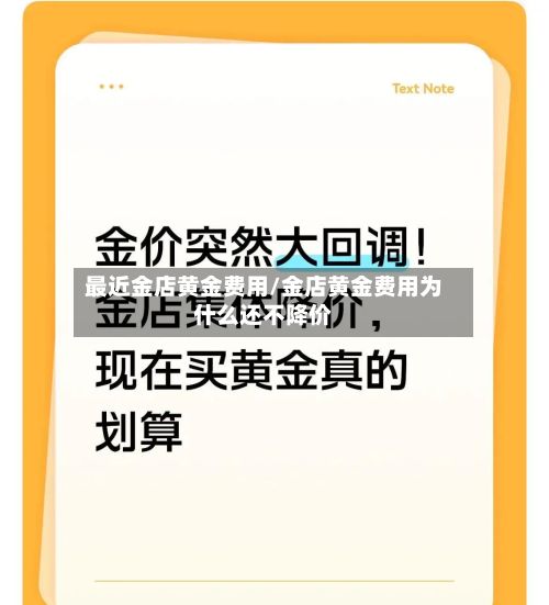 最近金店黄金费用/金店黄金费用为什么还不降价-第2张图片