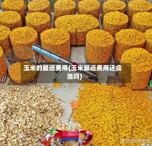 玉米的最近费用(玉米最近费用还会涨吗)-第2张图片