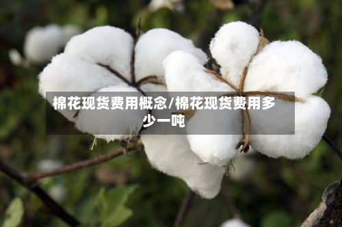 棉花现货费用概念/棉花现货费用多少一吨