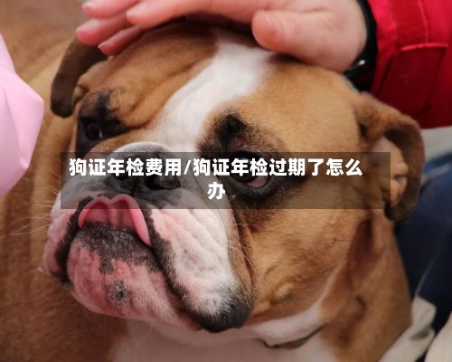 狗证年检费用/狗证年检过期了怎么办-第3张图片