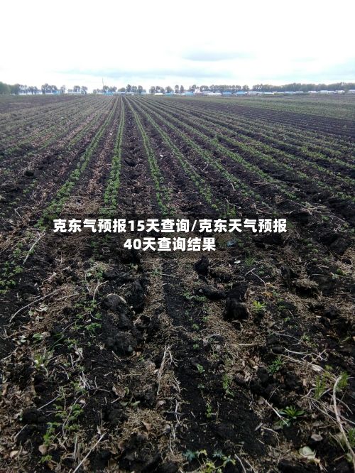 克东气预报15天查询/克东天气预报40天查询结果
