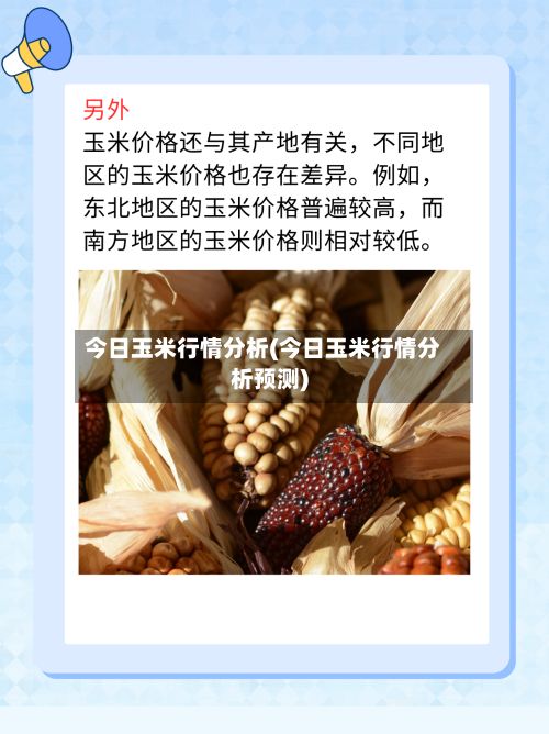 今日玉米行情分析(今日玉米行情分析预测)