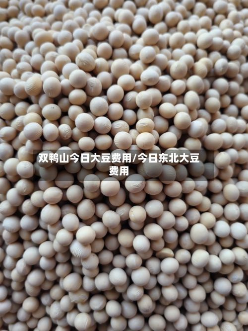 双鸭山今日大豆费用/今日东北大豆费用