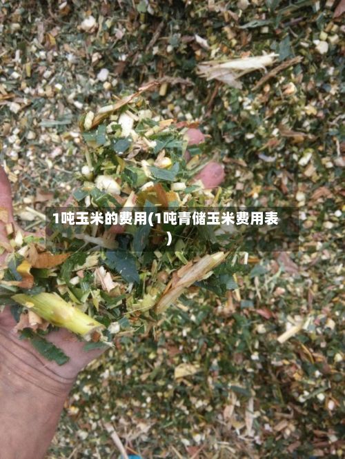 1吨玉米的费用(1吨青储玉米费用表)