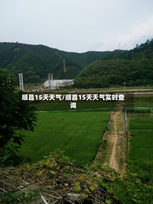 顺昌15天天气/顺昌15天天气实时查询
