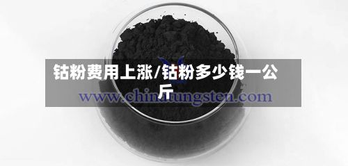 钴粉费用上涨/钴粉多少钱一公斤
