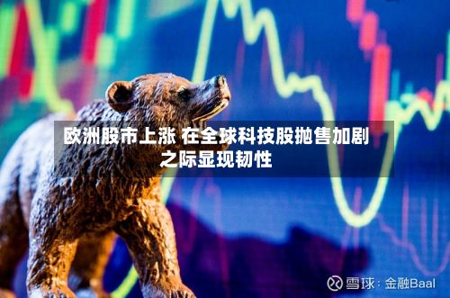 欧洲股市上涨 在全球科技股抛售加剧之际显现韧性-第3张图片