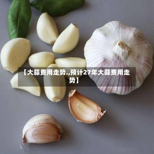 【大蒜费用走势.,预计27年大蒜费用走势】