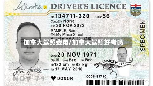 加拿大驾照费用/加拿大驾照好考吗-第2张图片