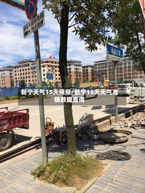 新宁天气15天预报/新宁15天天气准确数据查询