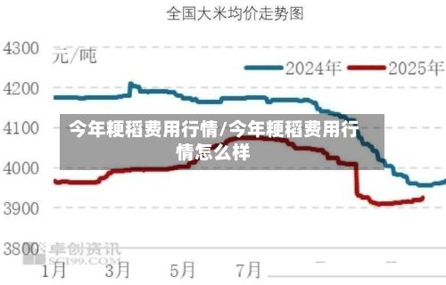 今年粳稻费用行情/今年粳稻费用行情怎么样