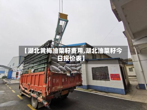 【湖北黄梅油菜籽费用,湖北油菜籽今日报价表】