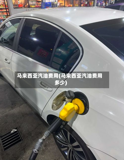 马来西亚汽油费用(马来西亚汽油费用多少)-第2张图片