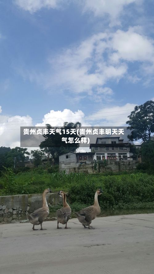 贵州贞丰天气15天(贵州贞丰明天天气怎么样)