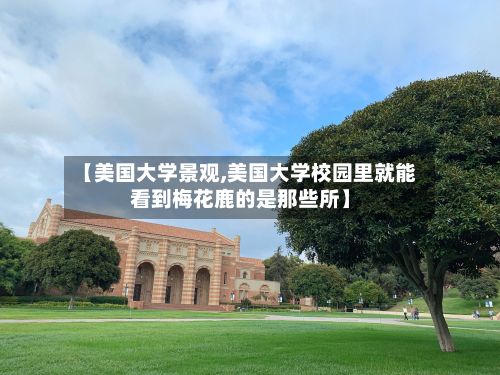 【美国大学景观,美国大学校园里就能看到梅花鹿的是那些所】