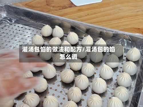 灌汤包馅的做法和配方/灌汤包的馅怎么调-第3张图片