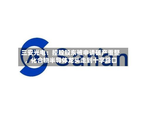 三安光电：控股股东被申请破产重整，化合物半导体龙头走到十字路口-第2张图片