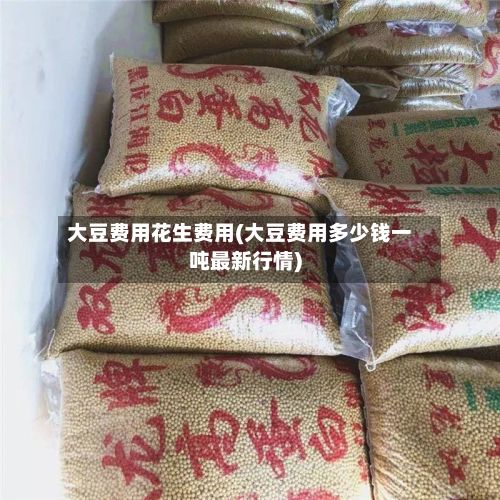 大豆费用花生费用(大豆费用多少钱一吨最新行情)