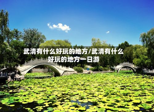 武清有什么好玩的地方/武清有什么好玩的地方一日游-第2张图片