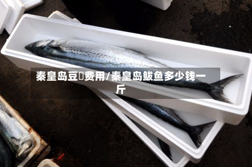 秦皇岛豆粨费用/秦皇岛鲅鱼多少钱一斤-第2张图片