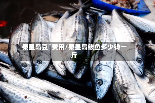 秦皇岛豆粨费用/秦皇岛鲅鱼多少钱一斤