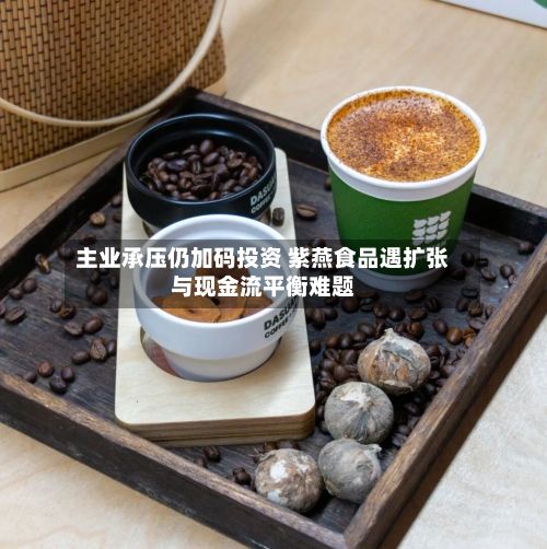 主业承压仍加码投资 紫燕食品遇扩张与现金流平衡难题-第2张图片