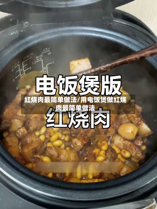 红烧肉最简单做法/用电饭煲做红烧肉最简单做法