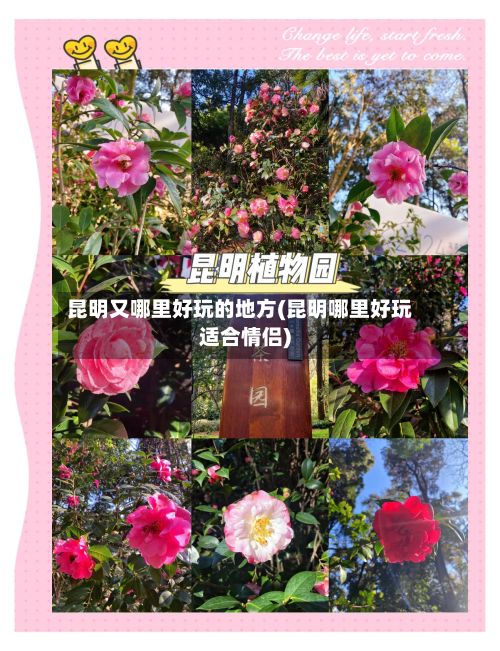 昆明又哪里好玩的地方(昆明哪里好玩适合情侣)