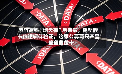 紫竹高科“地天板	”后回撤，铝塑膜卡位逻辑待验证，这家公募两只产品现身前前十流通股东-第2张图片