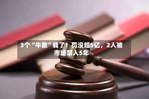 3个“牛散”栽了！罚没超5亿，2人被市场禁入5年