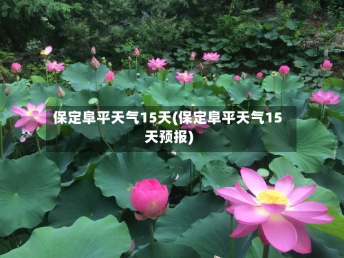 保定阜平天气15天(保定阜平天气15天预报)-第2张图片