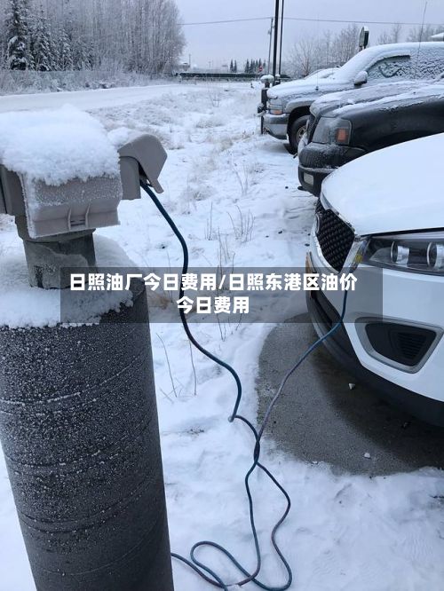 日照油厂今日费用/日照东港区油价今日费用
