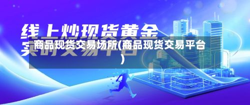 商品现货交易场所(商品现货交易平台)-第2张图片