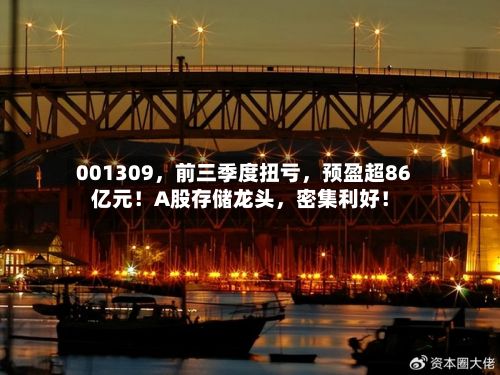 001309，前三季度扭亏	，预盈超86亿元！A股存储龙头，密集利好！-第3张图片
