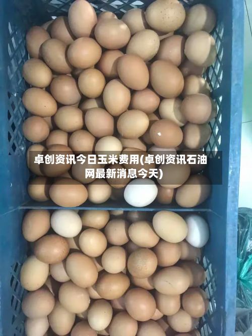 卓创资讯今日玉米费用(卓创资讯石油网最新消息今天)