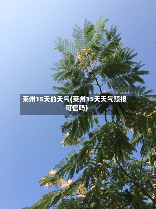 莱州15天的天气(莱州15天天气预报可信吗)