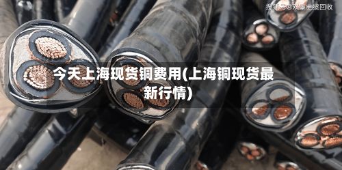 今天上海现货铜费用(上海铜现货最新行情)