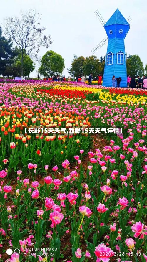 【长野15天天气,新野15天天气详情】