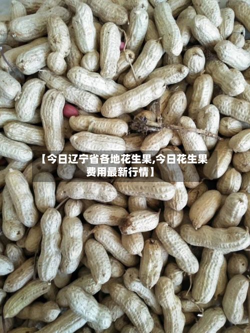 【今日辽宁省各地花生果,今日花生果费用最新行情】-第3张图片