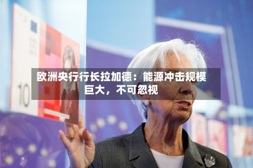 欧洲央行行长拉加德：能源冲击规模巨大，不可忽视-第3张图片