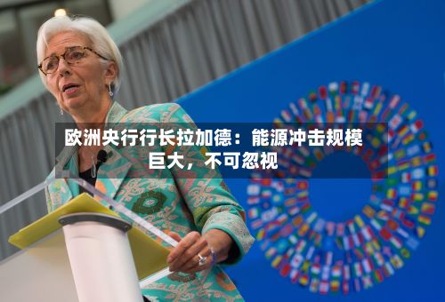 欧洲央行行长拉加德：能源冲击规模巨大，不可忽视-第2张图片