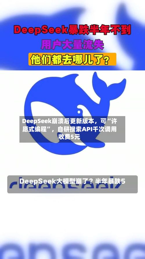 DeepSeek崩溃后更新版本，可“许愿式编程”	，自研搜索API千次调用收费5元-第3张图片
