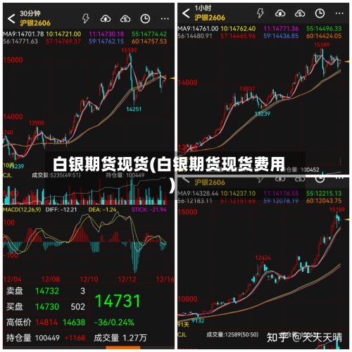 白银期货现货(白银期货现货费用)