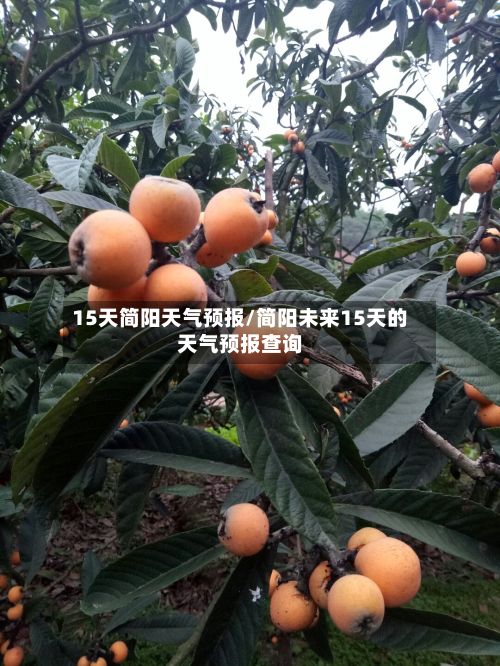 15天简阳天气预报/简阳未来15天的天气预报查询