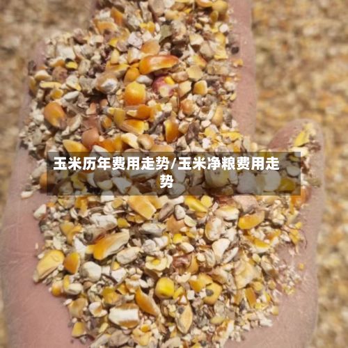 玉米历年费用走势/玉米净粮费用走势