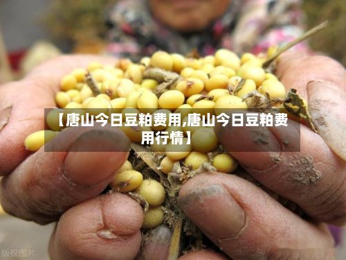 【唐山今日豆粕费用,唐山今日豆粕费用行情】